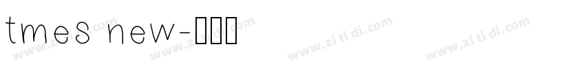 tmes new字体转换